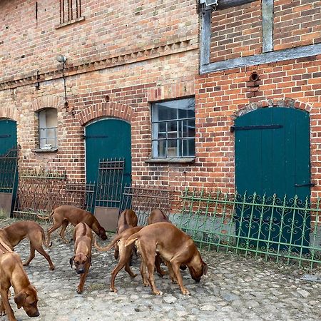 Bauernhof-Streichel-Zoo-Kombi-Familien-Suite-Im-Wald-Am-See Gulow Eksteriør bilde