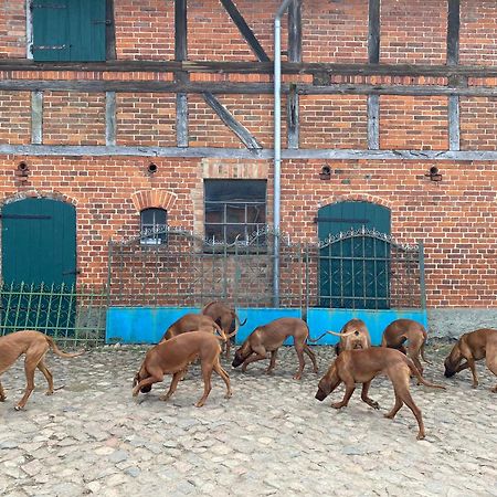 Bauernhof-Streichel-Zoo-Kombi-Familien-Suite-Im-Wald-Am-See Gulow Eksteriør bilde