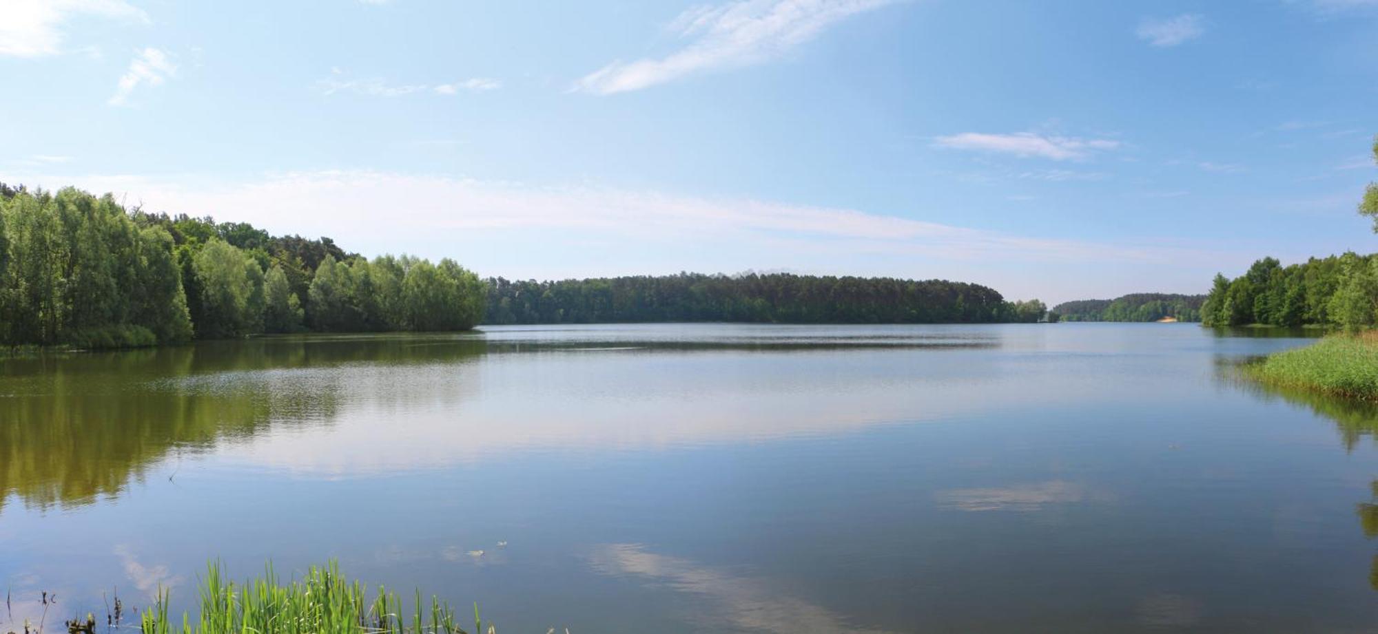 Bauernhof-Streichel-Zoo-Kombi-Familien-Suite-Im-Wald-Am-See Gulow Eksteriør bilde