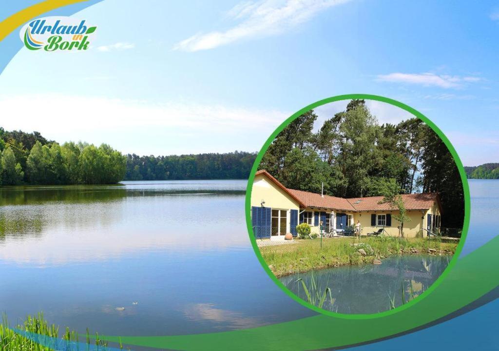 Bauernhof-Streichel-Zoo-Kombi-Familien-Suite-Im-Wald-Am-See Gulow Eksteriør bilde